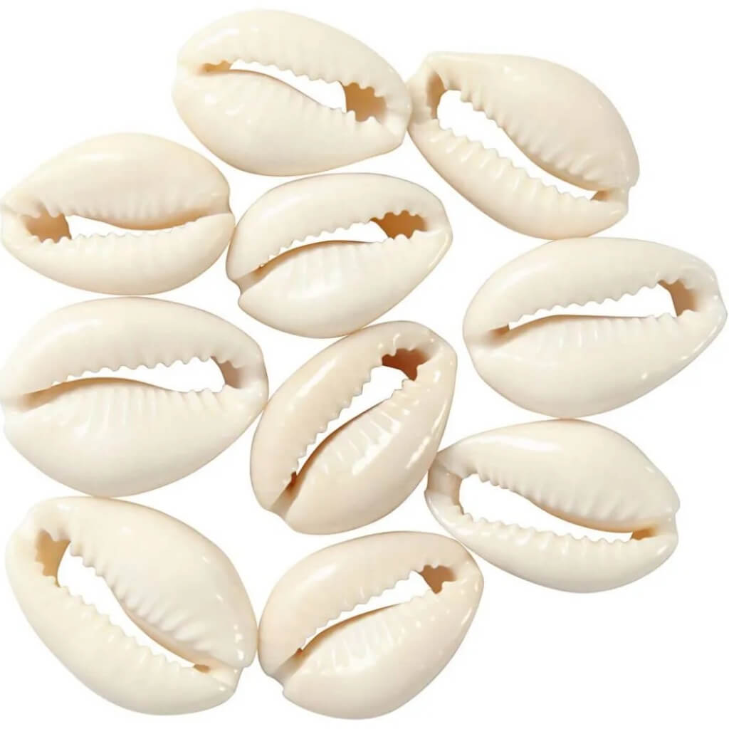 Creativ Company 12 Stk. Muschelperlen bei bei bei bei bei bei bei bei bei bei bei bei bei Lieblingsgarn