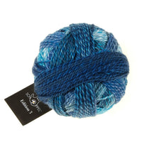 2362 - Blauschleier