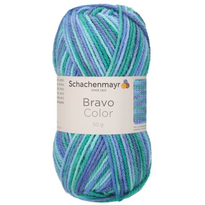 Schachenmayr 2134 - Lagune Color Schachenmayr Bravo Originals Color bei bei bei bei bei bei bei bei bei bei Lieblingsgarn