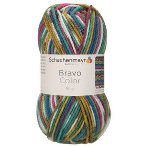 Schachenmayr Bravo Originals Color