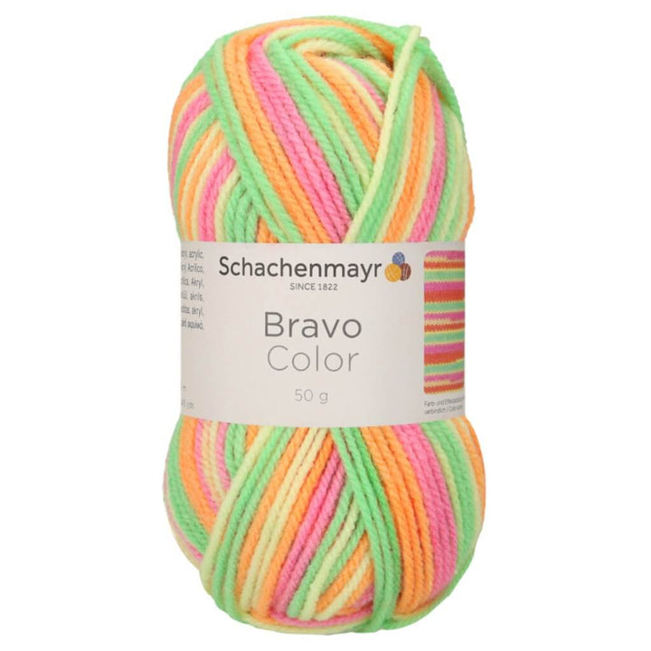 Schachenmayr Bravo Originals Color 2100 - Casablanca Color bei bei bei bei bei bei bei bei bei bei bei bei Lieblingsgarn