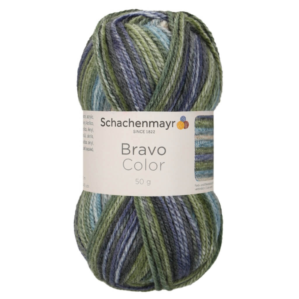 Schachenmayr Bravo Originals Color 2122 - Moor Color bei bei bei bei bei bei bei bei bei bei bei bei bei bei Lieblingsgarn