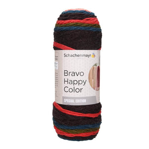 Schachenmayr Bravo Happy Color 150g