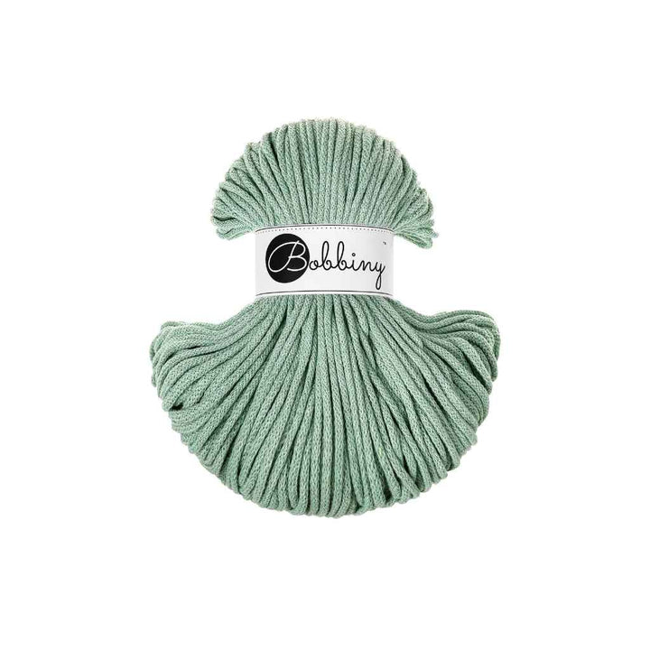 Bobbiny Aloe Bobbiny Classic cotton cords 4mm 100m Lieblingsgarn