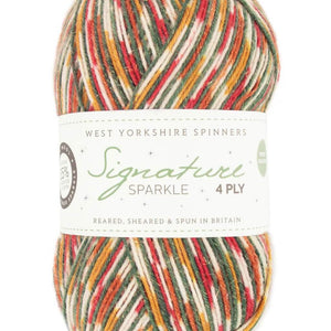 West Yorkshire Spinners Signature 4ply Sparkle