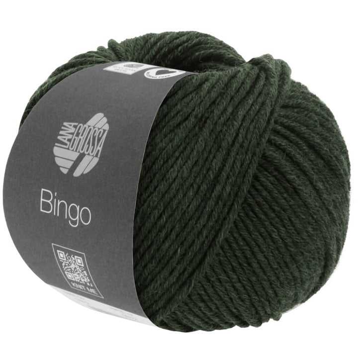 Lana Grossa Stricken &amp; Häkeln 1040 - Lana Grossa Bingo 50g Lieblingsgarn