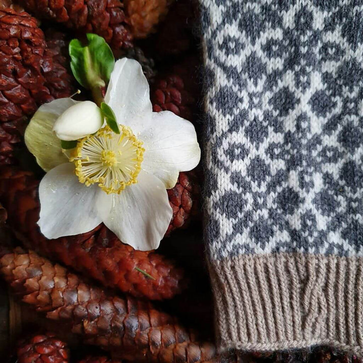 Ducathi Socken Stille Zeit 2 Strickanleitung - Ducathi (PDF) bei bei bei bei bei bei bei bei bei bei bei bei Lieblingsgarn
