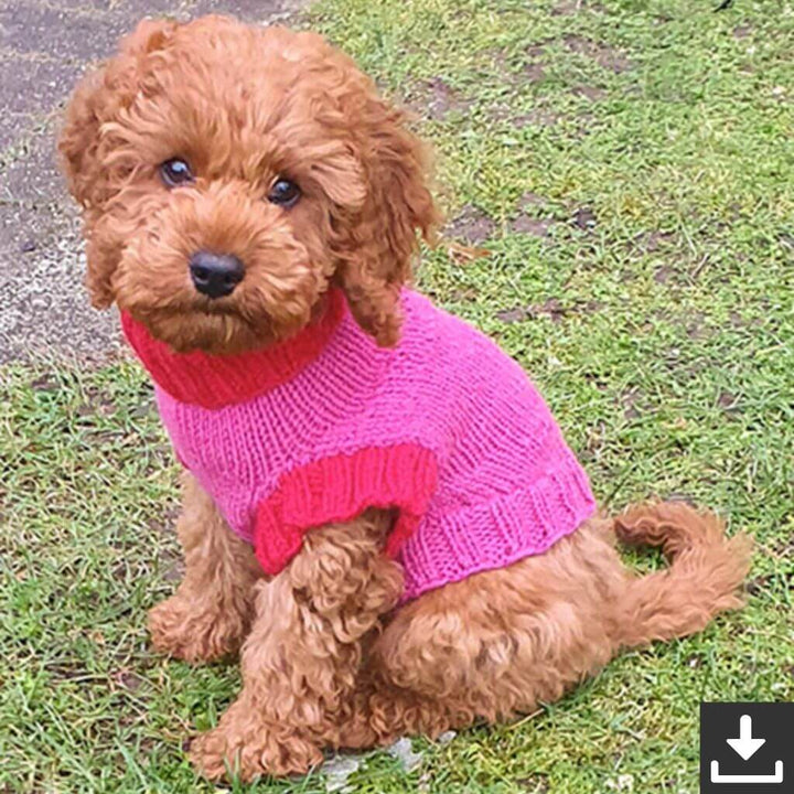Drops Design Pattern Hundepullover Good Girl Sweater Strickanleitung - Drops (PDF) bei bei bei bei bei bei bei Lieblingsgarn
