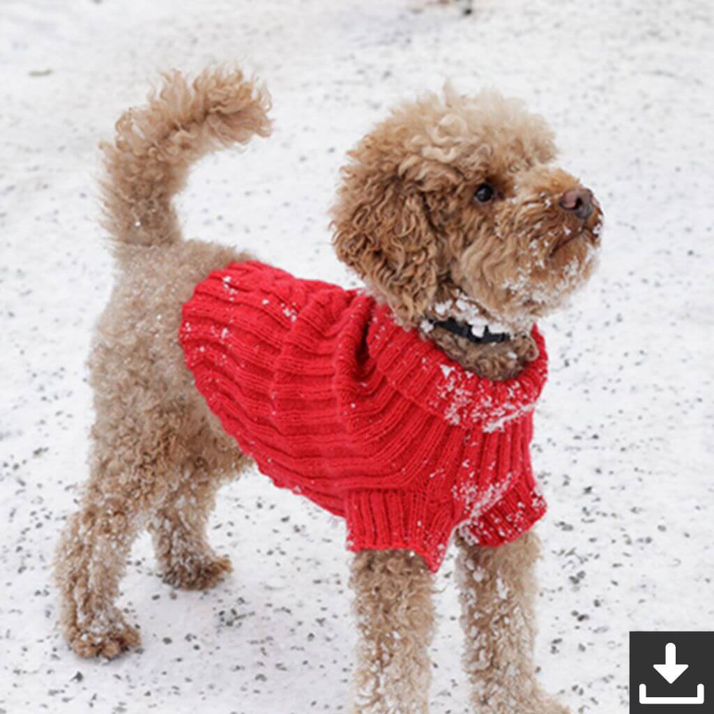 Drops Design Pattern Hundepullover Holiday Buddies Strickanleitung - Drops (PDF) Lieblingsgarn