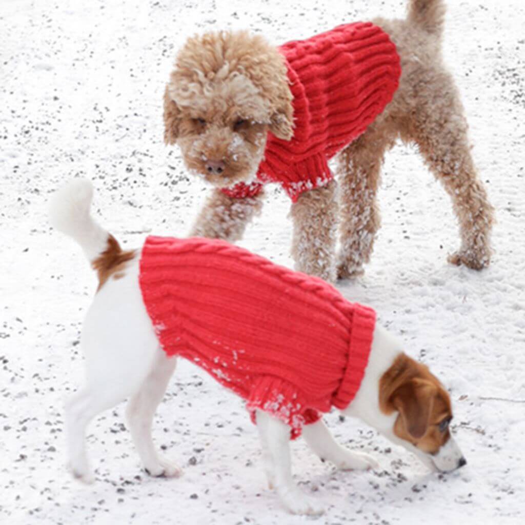 Drops Design Pattern Hundepullover Holiday Buddies Strickanleitung - Drops (PDF) Lieblingsgarn