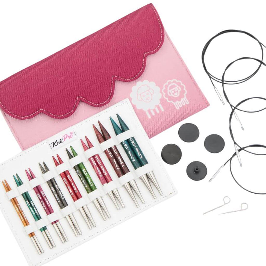KnitPro KnitPro Dreamz Nadelspitzen Set Deluxe Special Lieblingsgarn