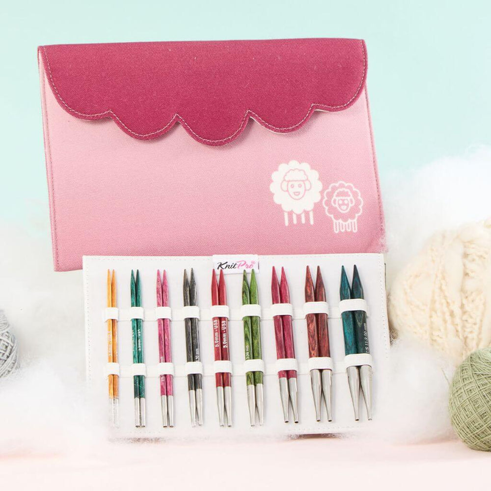 KnitPro KnitPro Dreamz Nadelspitzen Set Deluxe Special Lieblingsgarn