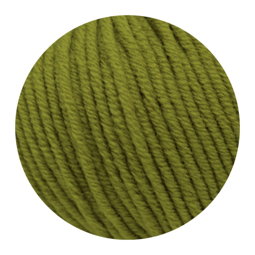 Lane Mondial 282 - Farn Lane Mondial Bio Lana 50g - Bio Wolle Lieblingsgarn