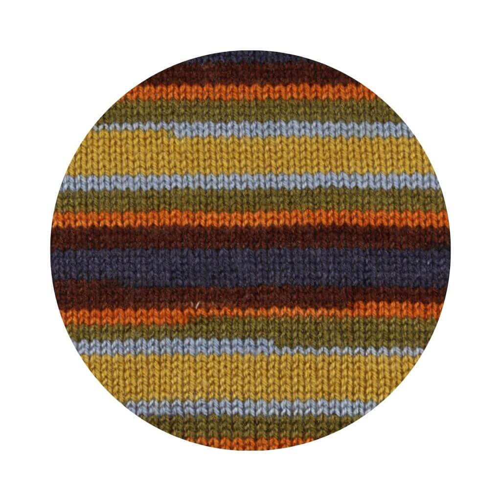 Schachenmayr Bravo Originals Color, Farbe 2146 Luna Color – Polyacryl bei Lieblingsgarn