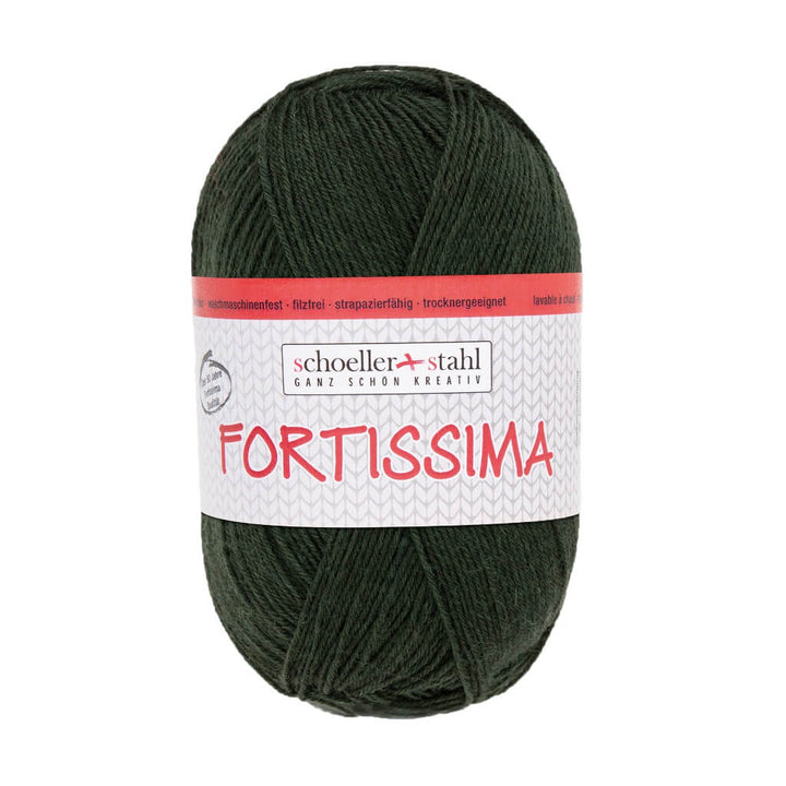 Schoeller + Stahl Fortissima Socka 100 - Sockenwolle, Farbe 2091 Jagd – Polyamid und Schurwolle bei Lieblingsgarn