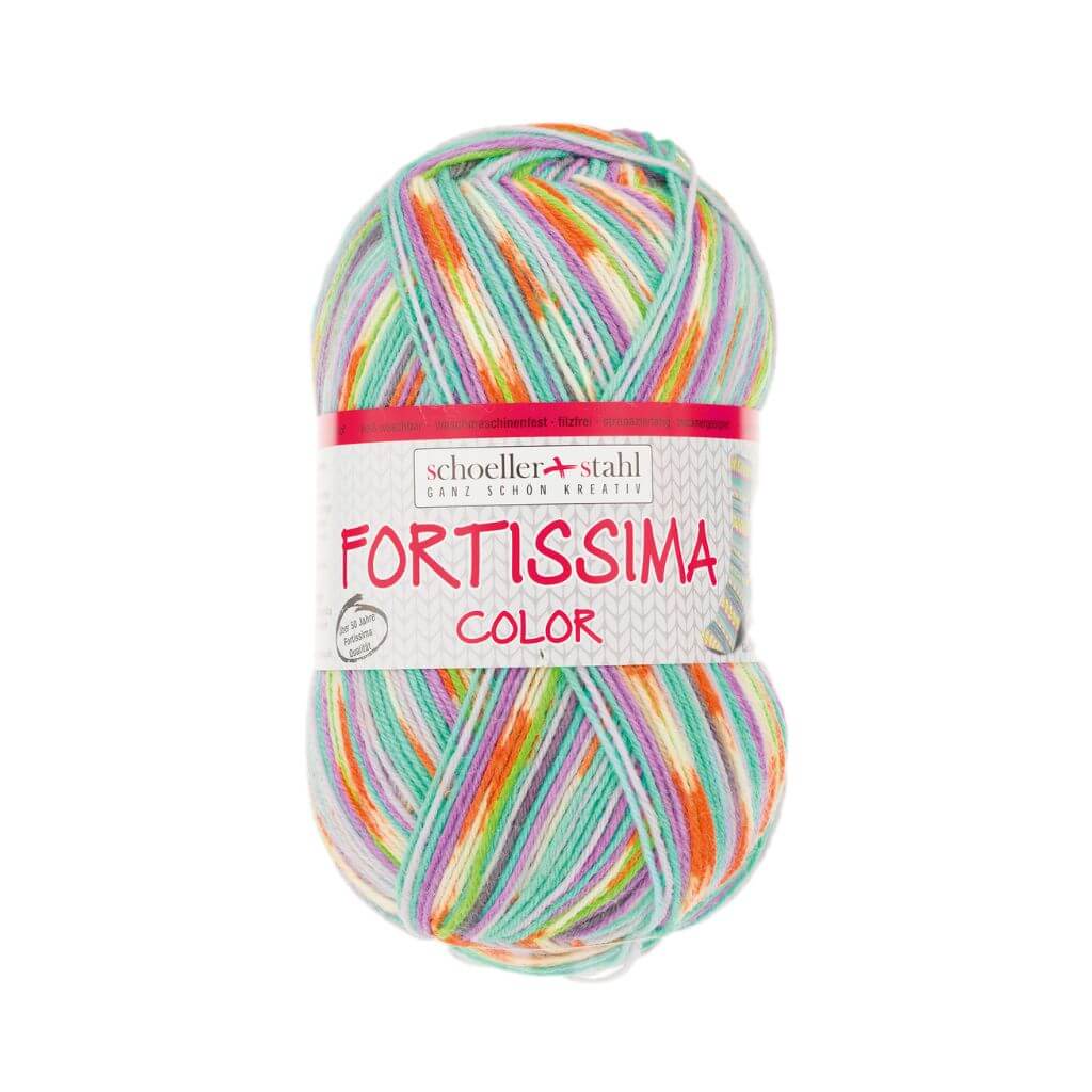 Schoeller + Stahl Fortissima Socka 4F Color