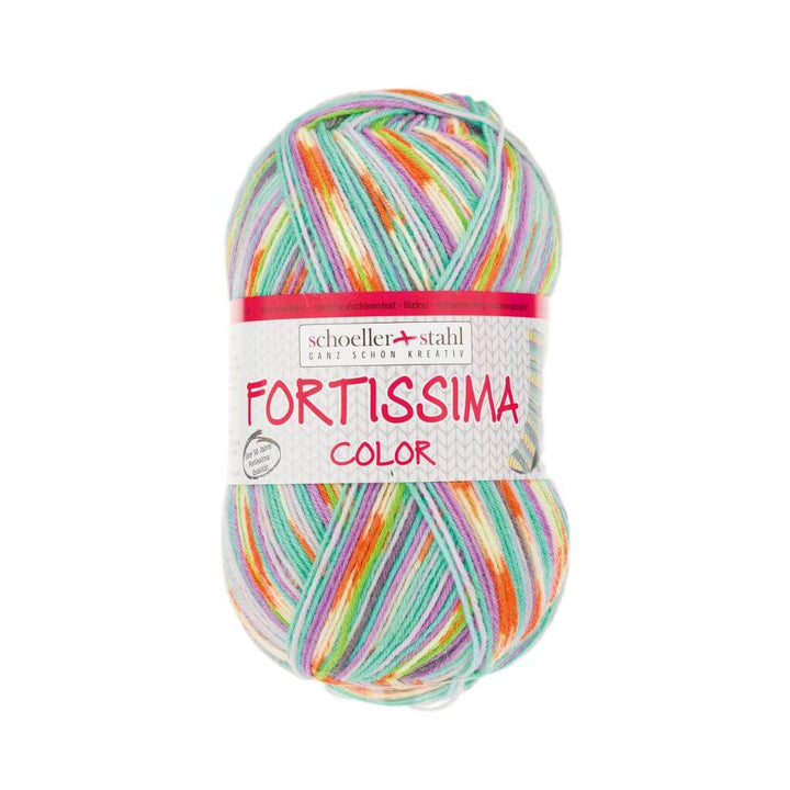 Schoeller + Stahl Fortissima Socka 4F Color