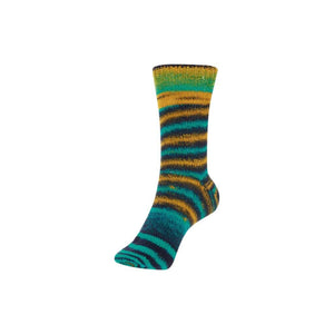 Schoeller + Stahl Fortissima Funky Double Socks