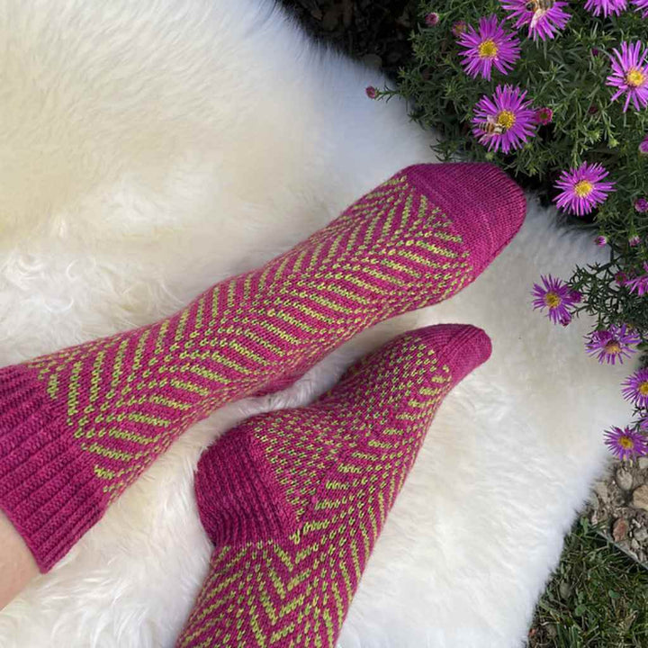 Ducathi Caleido Socks Strickanleitung – Bild 3 von 3 bei bei bei bei bei bei bei bei bei bei bei bei bei bei Lieblingsgarn