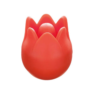 Tulip Spitzenschoner
