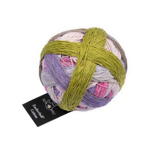 Schoppel Wolle Zauberball Cotton